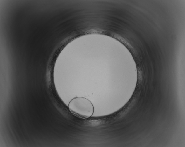 X0000098090302200804040732