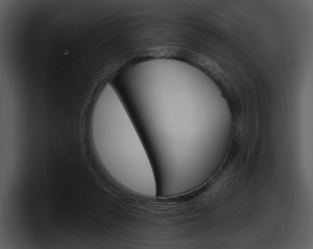 X0000098090303200804040732