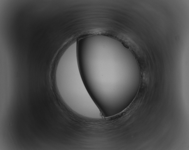 X0000098090304200804040732