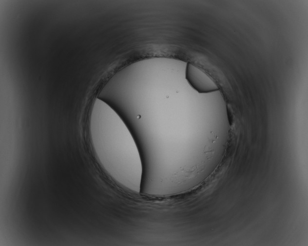 X0000098090306200804040732