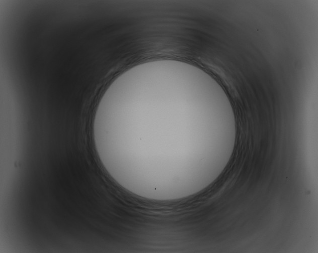 X0000098090308200804040732