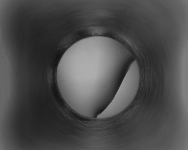 X0000098090311200804040731