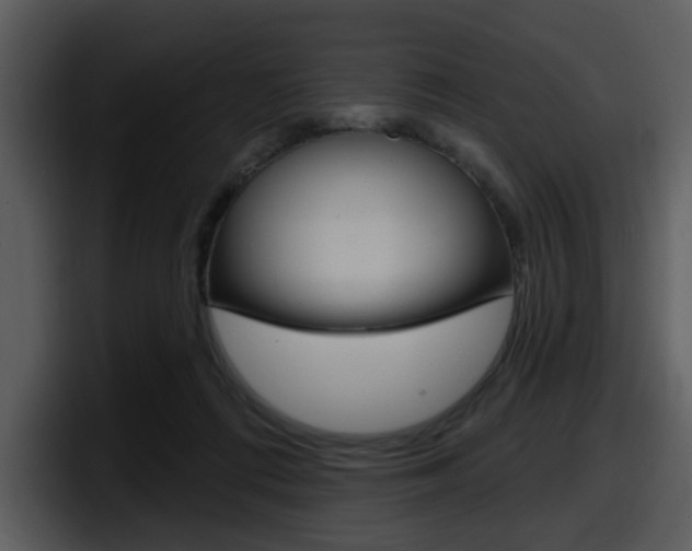 X0000098090312200804040731