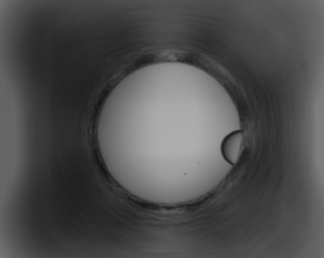 X0000098090314200804040731