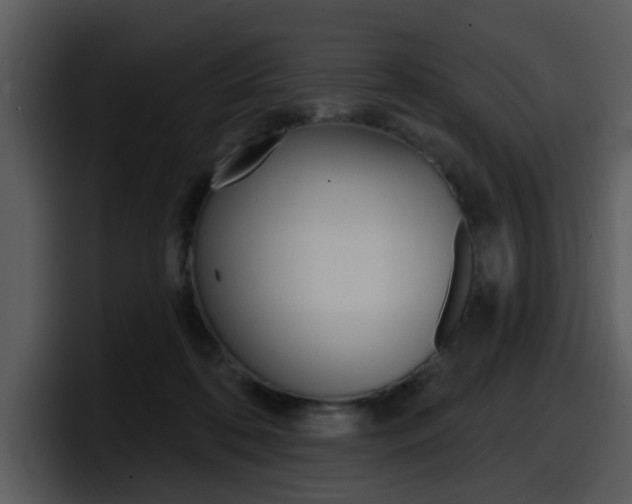 X0000098090316200804040731