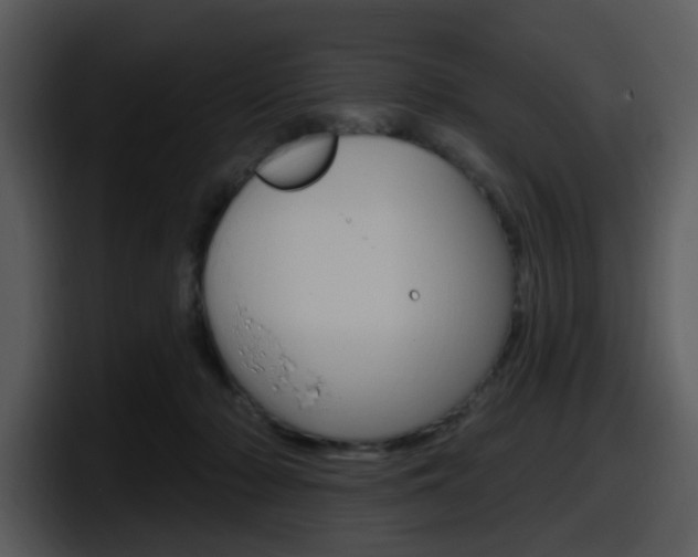 X0000098090318200804040731