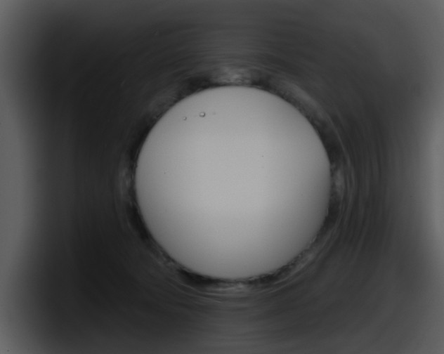 X0000098090322200804040731