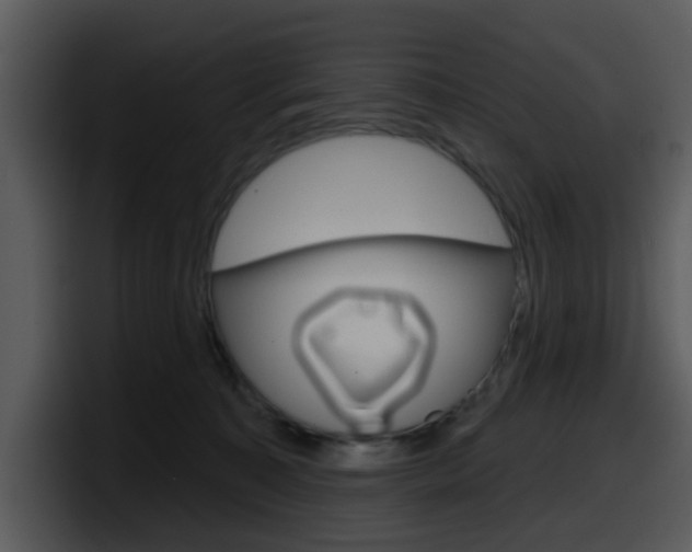 X0000098090323200804040731