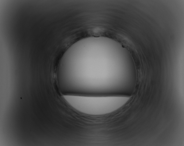 X0000098090324200804040731