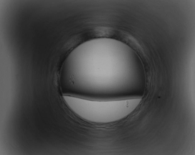 X0000098090325200804040731