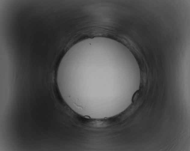 X0000098090326200804040731
