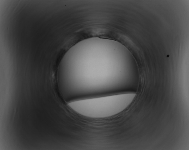 X0000098090327200804040731