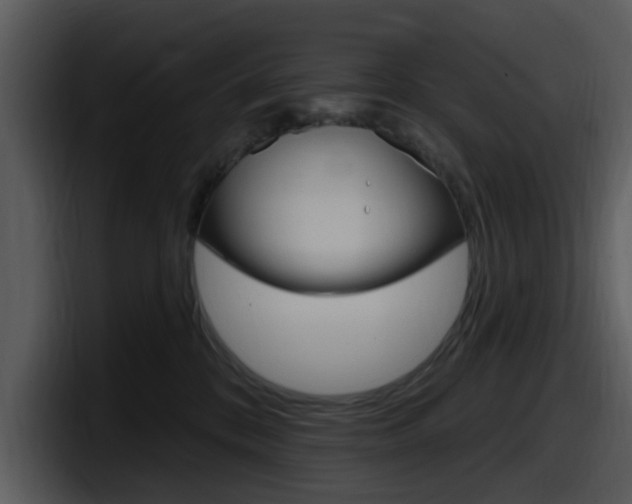 X0000098090328200804040731