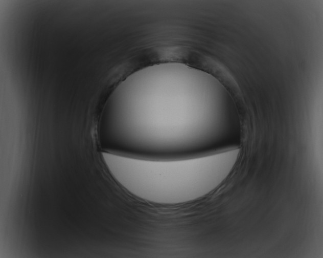 X0000098090329200804040731