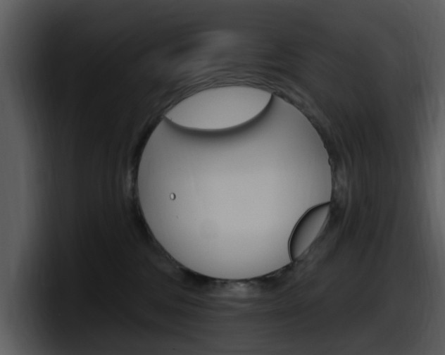 X0000098090330200804040731