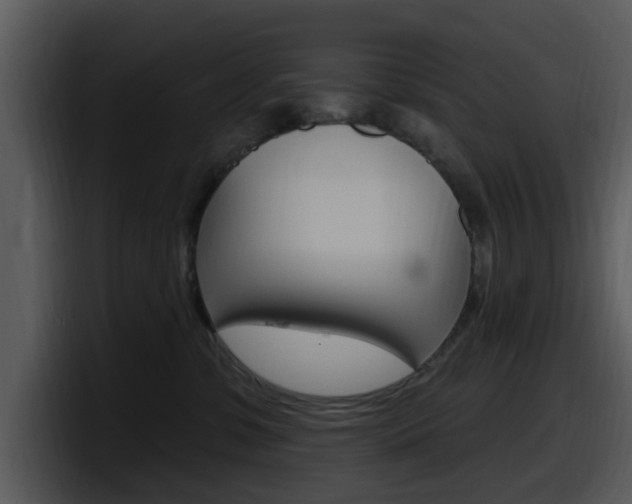 X0000098090331200804040731
