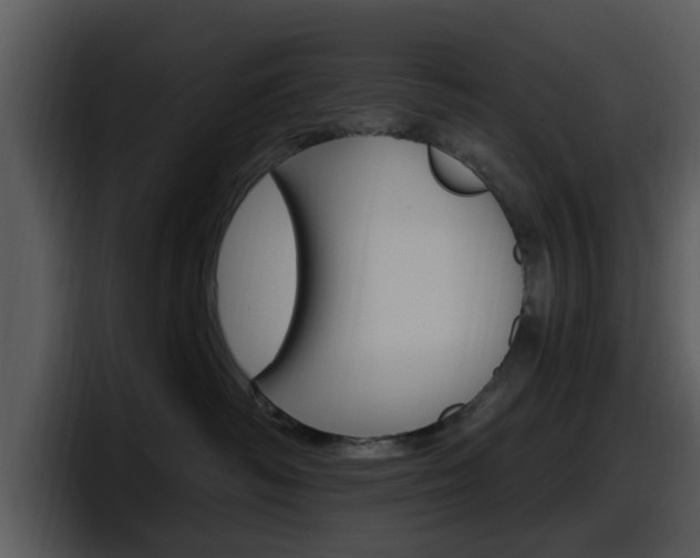 X0000098090334200804040731