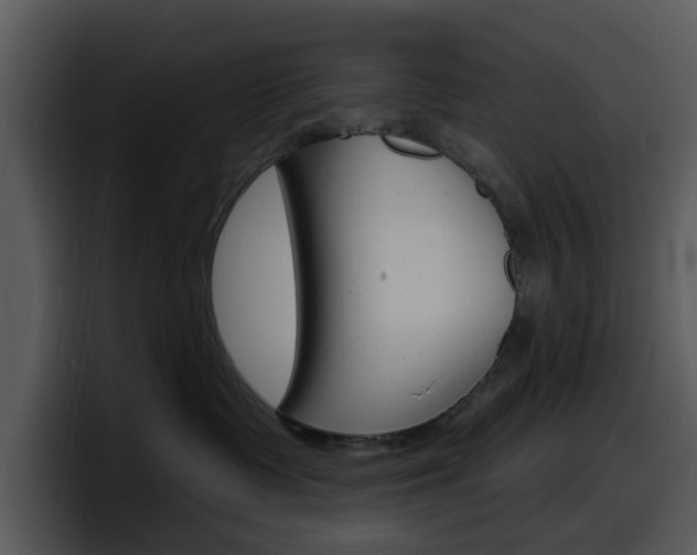 X0000098090335200804040731