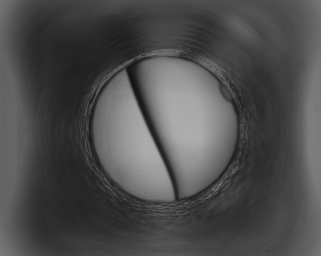 X0000098090337200804040731