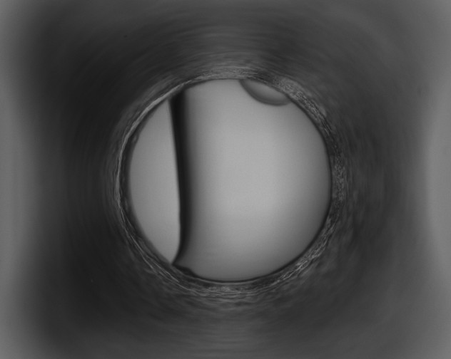 X0000098090338200804040731