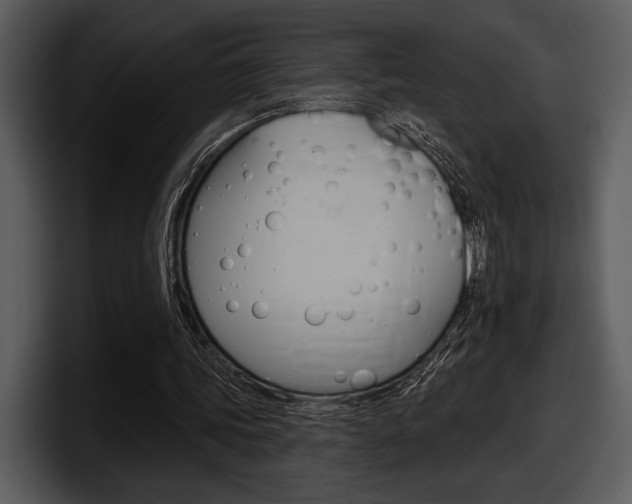 X0000098090339200804040731