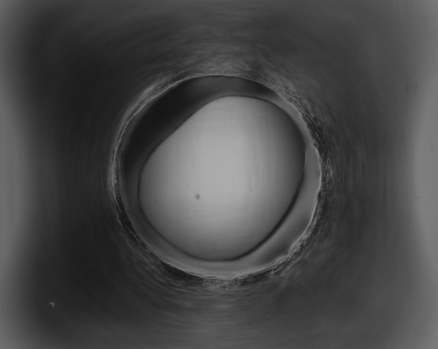 X0000098090340200804040731