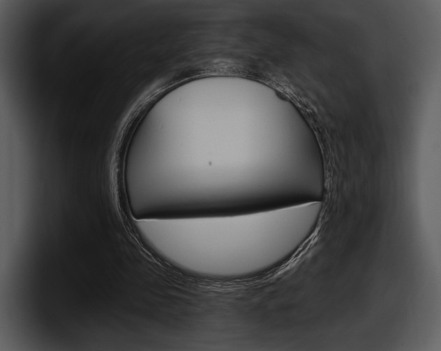 X0000098090341200804040731