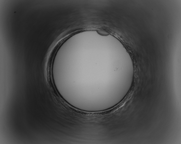 X0000098090343200804040731