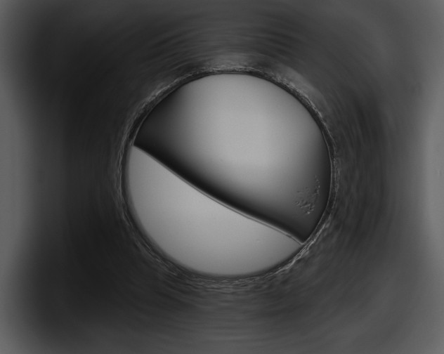 X0000098090345200804040731