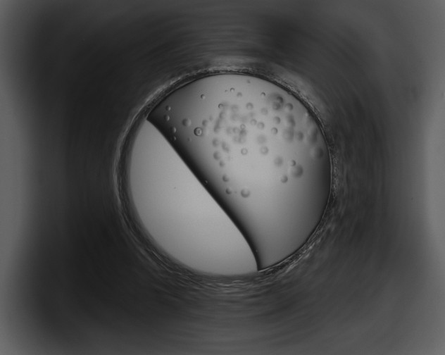 X0000098090346200804040731