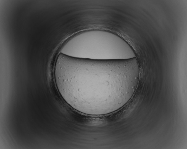 X0000098090347200804040731
