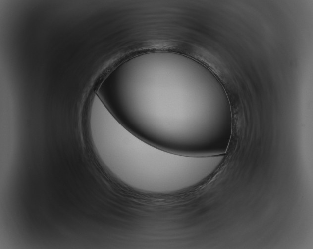 X0000098090350200804040731