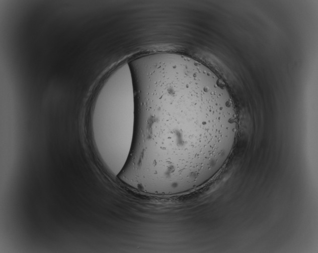 X0000098090351200804040731