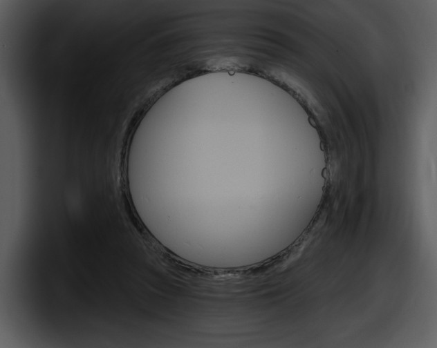 X0000098090353200804040731