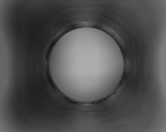 X0000098090355200804040731