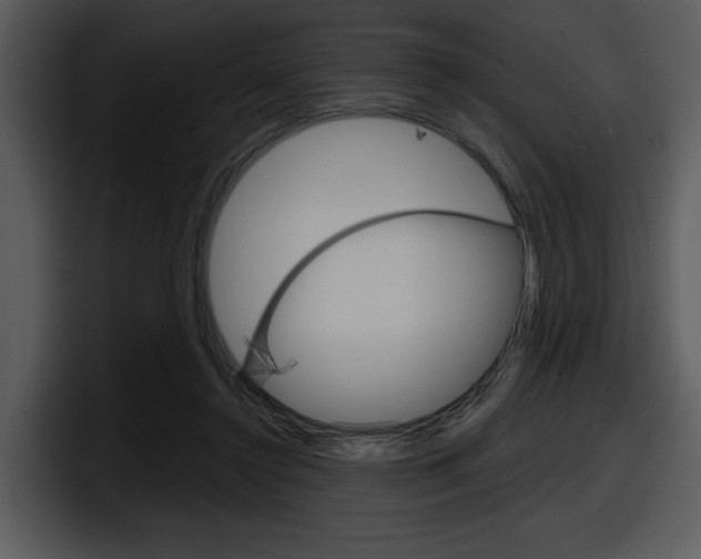 X0000098090356200804040731