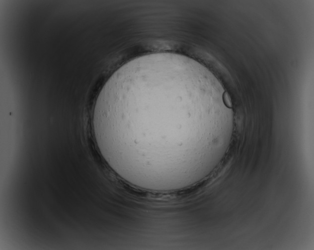 X0000098090359200804040731