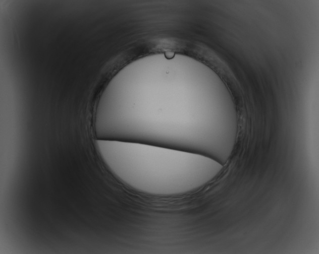 X0000098090361200804040731