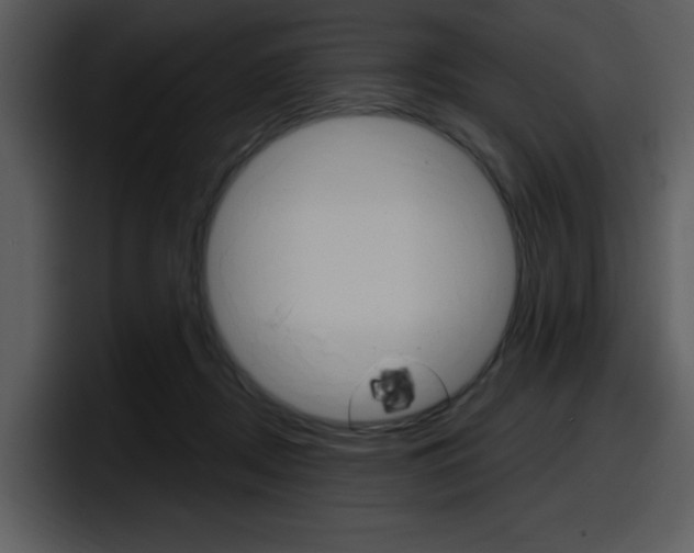 X0000098090362200804040731