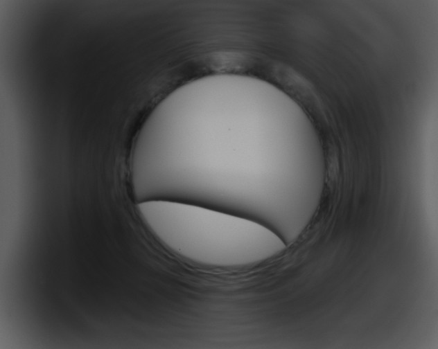 X0000098090367200804040731