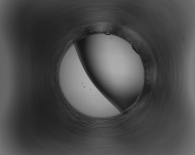 X0000098090368200804040731