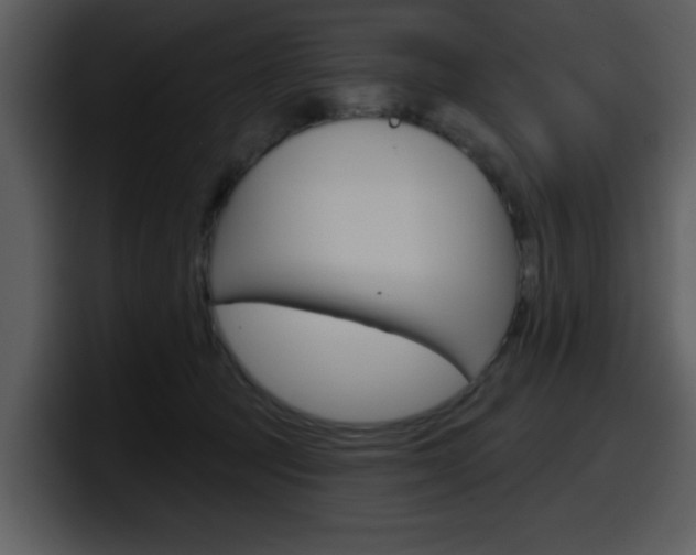 X0000098090369200804040731