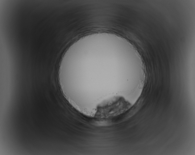 X0000098090370200804040731