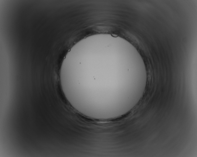 X0000098090371200804040731
