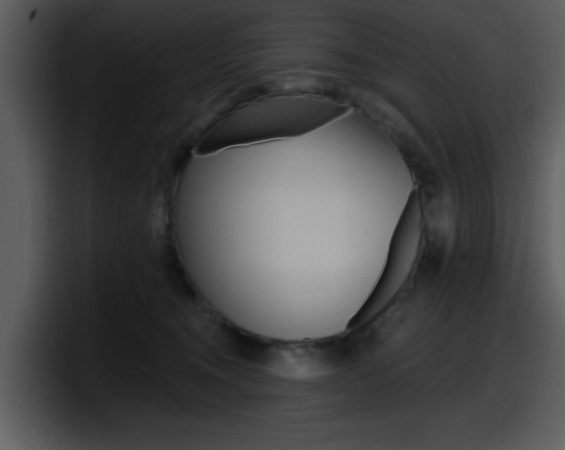X0000098090372200804040731