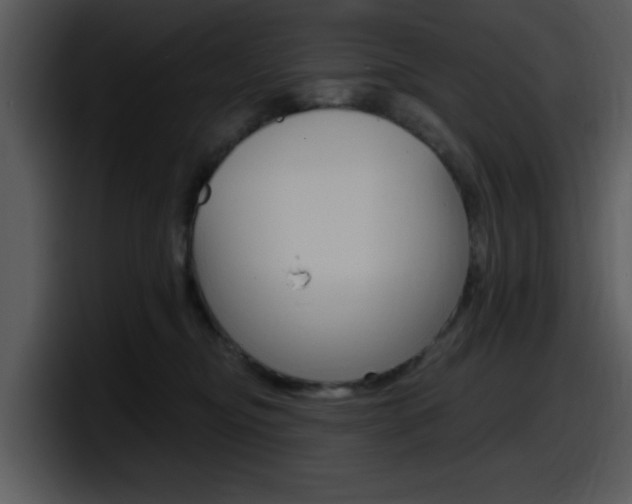 X0000098090374200804040731