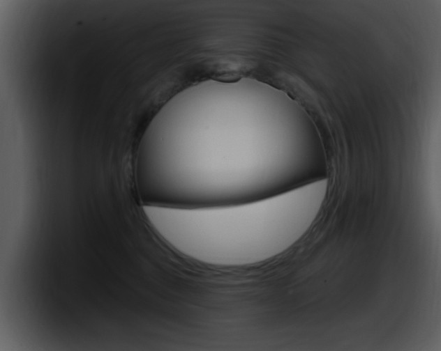 X0000098090376200804040731