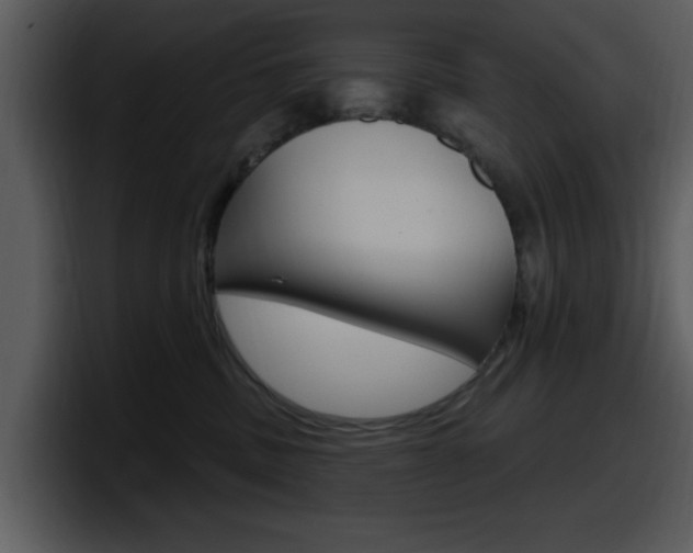 X0000098090379200804040731
