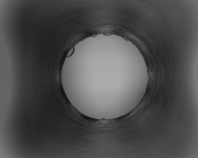 X0000098090381200804040731