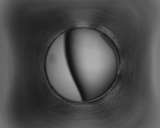X0000098090385200804040731